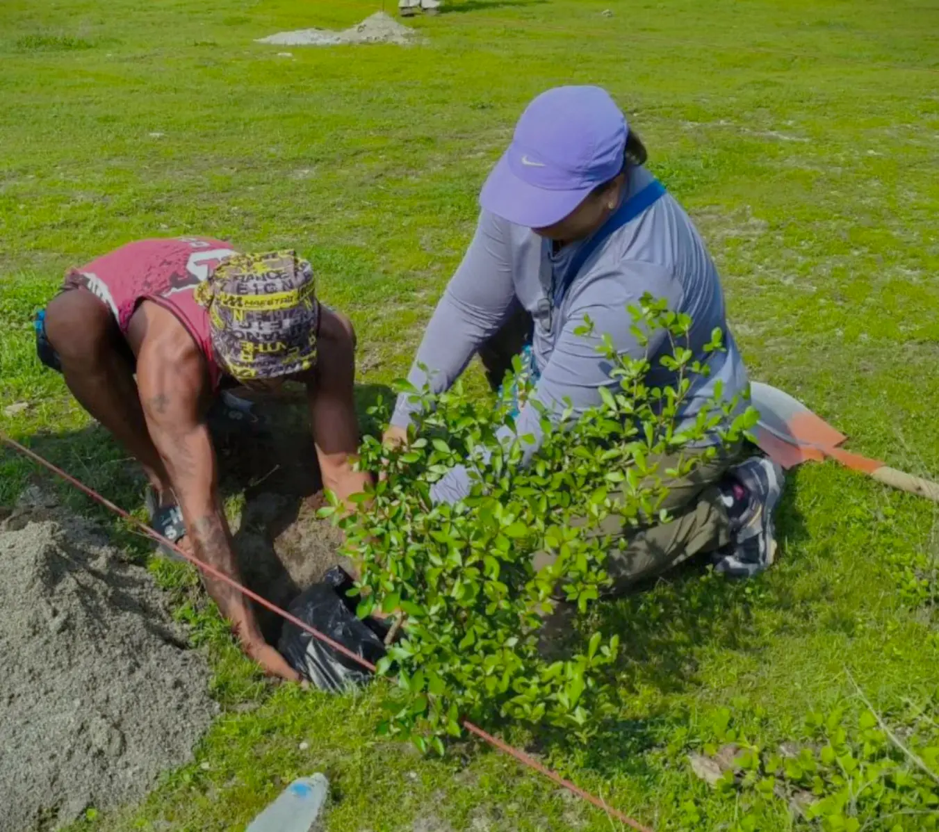 Tree Planting Community